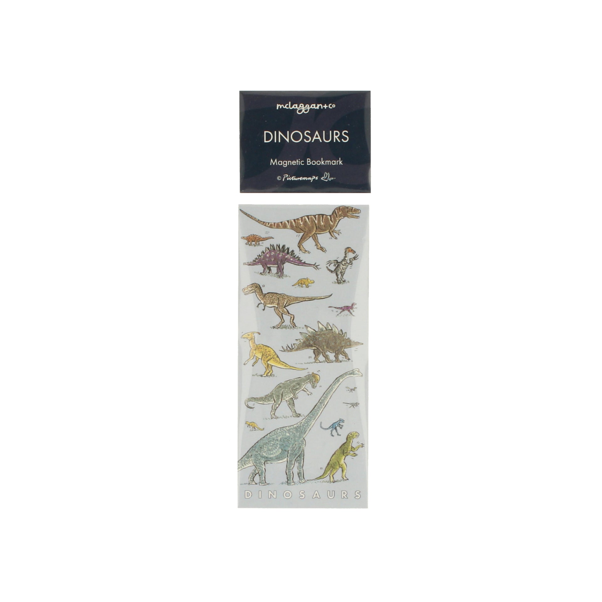 Dinosaurs Magnetic Bookmark