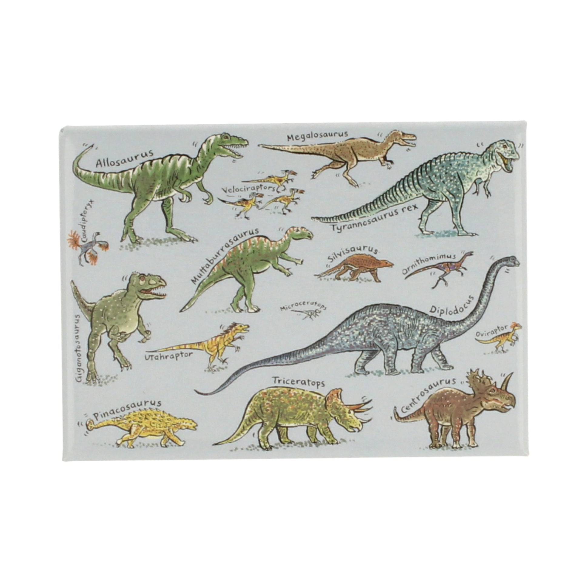 Dinosaurs Magnet - Diplodocus